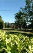 Туры в отель Agriturismo Colognole Туры в отель Agriturismo Colognole