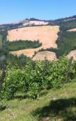 Туры в отель Agriturismo Ben Ti Voglio Туры в отель Agriturismo Ben Ti Voglio
