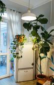 Туры в отель Tomato Backpackers Туры в отель Tomato Backpackers