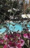 Туры в отель Villetta del Salento Exclusive B&B Туры в отель Villetta del Salento Exclusive B&B