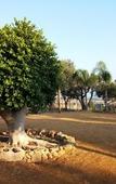 Туры в отель B&B Lekythos Туры в отель B&B Lekythos
