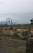 Туры в отель Etna Wine Agriturismo Туры в отель Etna Wine Agriturismo