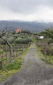 Туры в отель Etna Wine Agriturismo Туры в отель Etna Wine Agriturismo