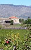 Туры в отель Etna Wine Agriturismo Туры в отель Etna Wine Agriturismo