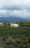 Туры в отель Etna Wine Agriturismo Туры в отель Etna Wine Agriturismo
