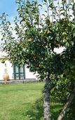 Туры в отель Etna Wine Agriturismo Туры в отель Etna Wine Agriturismo