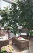 Туры в отель Hotel Marinella Туры в отель Hotel Marinella