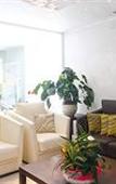 Туры в отель Hotel Marinella Туры в отель Hotel Marinella