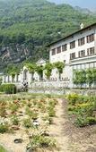 Туры в отель Crimea Wine Hotel Туры в отель Crimea Wine Hotel