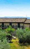 Туры в отель Agriturismo Colle degli Olivi Туры в отель Agriturismo Colle degli Olivi