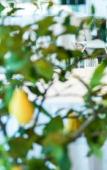 Туры в отель Il Porticciolo Туры в отель Il Porticciolo
