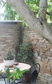 Туры в отель Albergo Sanlorenzo Туры в отель Albergo Sanlorenzo