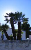 Туры в отель Masseria Pelosella B&B Туры в отель Masseria Pelosella B&B