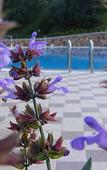 Туры в отель Agriturismo Su Vrau Туры в отель Agriturismo Su Vrau