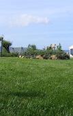 Туры в отель Agriturismo Su Vrau Туры в отель Agriturismo Su Vrau