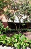 Туры в отель Albergo Hotel Giardino Туры в отель Albergo Hotel Giardino