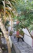 Туры в отель L'Oasi Villaggio Albergo Туры в отель L'Oasi Villaggio Albergo