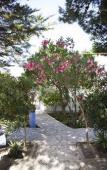 Туры в отель L'Oasi Villaggio Albergo Туры в отель L'Oasi Villaggio Albergo