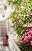 Туры в отель L'Oasi Villaggio Albergo Туры в отель L'Oasi Villaggio Albergo