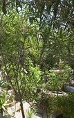 Туры в отель L'Oasi Villaggio Albergo Туры в отель L'Oasi Villaggio Albergo