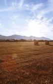 Туры в отель L'Oasi Villaggio Albergo Туры в отель L'Oasi Villaggio Albergo