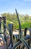 Туры в отель Sa Pedrera Country Hotel Туры в отель Sa Pedrera Country Hotel