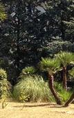 Туры в отель B&B Villa Wanda Туры в отель B&B Villa Wanda
