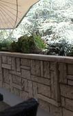 Туры в отель B&B Villa Wanda Туры в отель B&B Villa Wanda