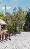 Туры в отель Tenuta Padre Pio Туры в отель Tenuta Padre Pio