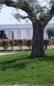 Туры в отель B&B Agriturismo Tenuta Barone Туры в отель B&B Agriturismo Tenuta Barone