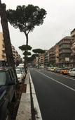 Туры в отель Domum Vaticani Туры в отель Domum Vaticani
