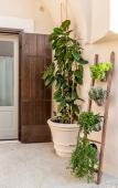 Туры в отель Borgo San Gaetano Туры в отель Borgo San Gaetano