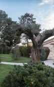Туры в отель Il Giardino degli Angeli Туры в отель Il Giardino degli Angeli