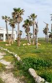 Туры в отель Lalena's Garden Туры в отель Lalena's Garden
