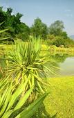 Туры в отель Country House Barone d’Asolo Туры в отель Country House Barone d’Asolo