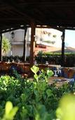 Туры в отель Ristorante Hotel Avvenire Туры в отель Ristorante Hotel Avvenire