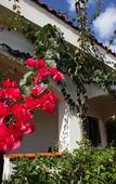 Туры в отель Residence Villantica Туры в отель Residence Villantica