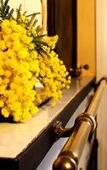 Туры в отель B&B Piazza Argento Туры в отель B&B Piazza Argento