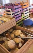 Туры в отель Holiday IV Gardan Туры в отель Holiday IV Gardan