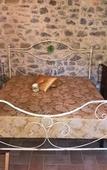 Туры в отель Casale Serena 1912 Туры в отель Casale Serena 1912