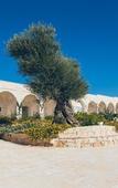 Туры в отель Masseria Grieco Туры в отель Masseria Grieco
