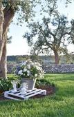 Туры в отель Masseria Grieco Туры в отель Masseria Grieco