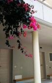 Туры в отель Mina Accomodation Туры в отель Mina Accomodation