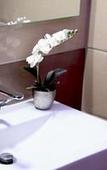 Туры в отель Starry Sky Charming House - NO Reception Туры в отель Starry Sky Charming House - NO Reception
