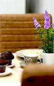 Туры в отель Starry Sky Charming House - NO Reception Туры в отель Starry Sky Charming House - NO Reception