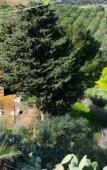 Туры в отель Dea Degli Ulivi House Туры в отель Dea Degli Ulivi House
