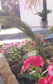 Туры в отель B&B Sorahnia Design House Туры в отель B&B Sorahnia Design House