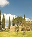 Туры в отель Tenuta di Poggio Cavallo Туры в отель Tenuta di Poggio Cavallo