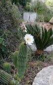 Туры в отель In Campagna da Nino Туры в отель In Campagna da Nino