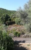 Туры в отель In Campagna da Nino Туры в отель In Campagna da Nino